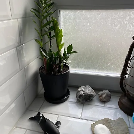 Antique Suburban Apartment